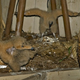 Image for article titled The Trashed Remains of Abandoned Disney Projects